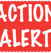 Action Alert! Call Your Legislators for Medicaid Expansion